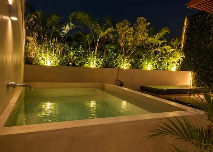 Luxury Penthouse With Private Plunge Pool In